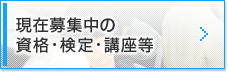 ただいま募集中！！